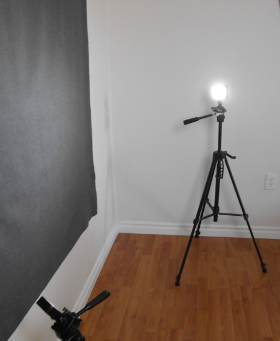 Backlight for Photography Portraits, Photography Tips