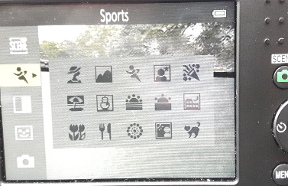 scene modes nikonL32 Point and Shoot Camera
