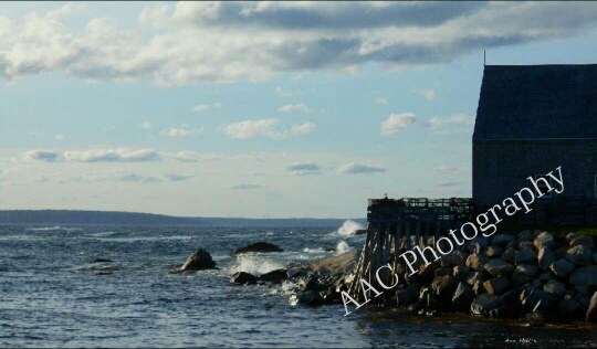 A Photo of Peggys Inlet Cove Nova Scotia, For Sale